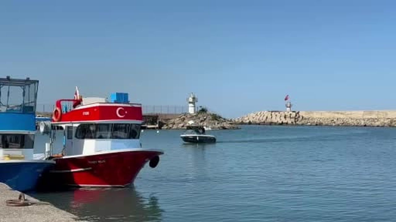 Balıkçılar sezonun ilk gününde 50 ton palamutla limana döndü