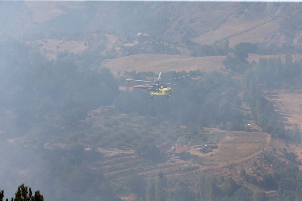 Çorum'un Çalyayla köyündeki ormanlık alanda çıkan yangın kontrol altına alındı. Yangına...