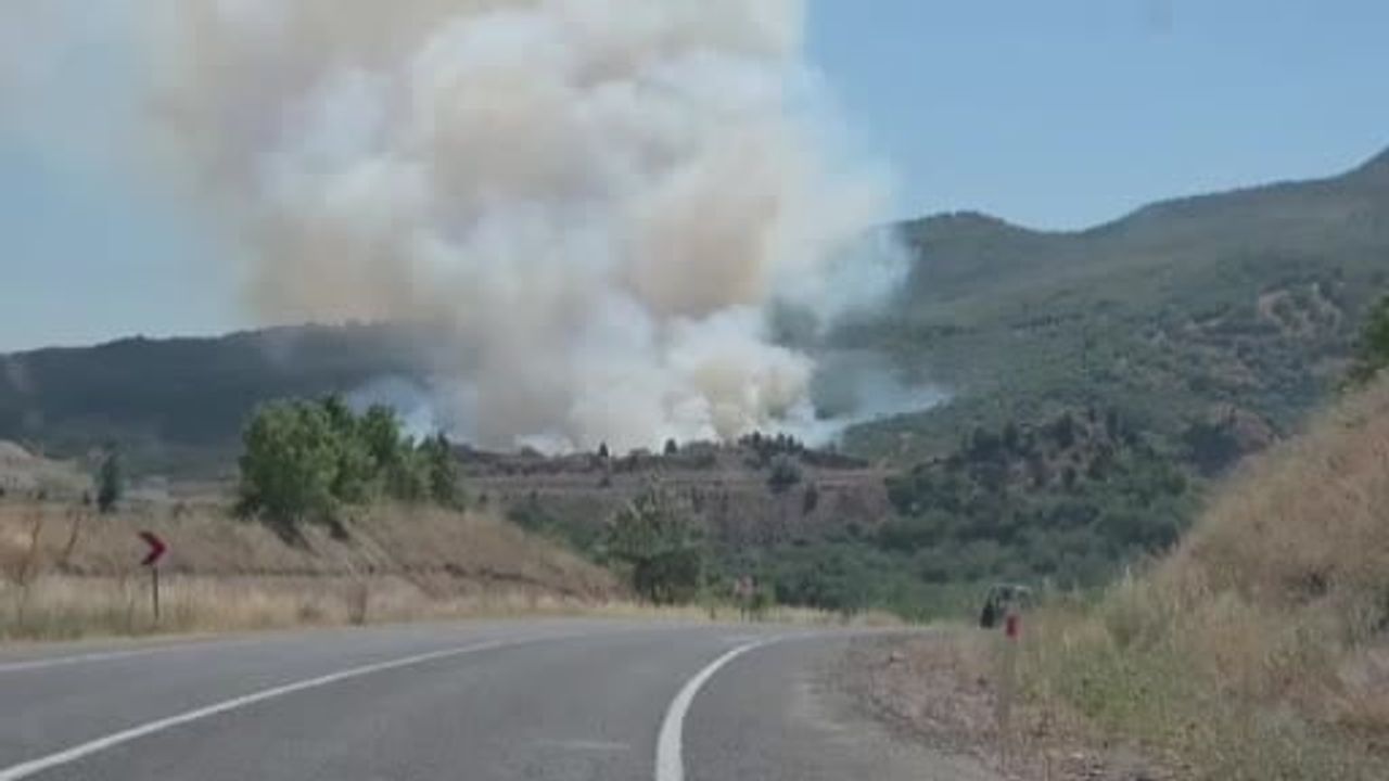 Domaniç'te tarlada başlayan yangın ormana sıçradı