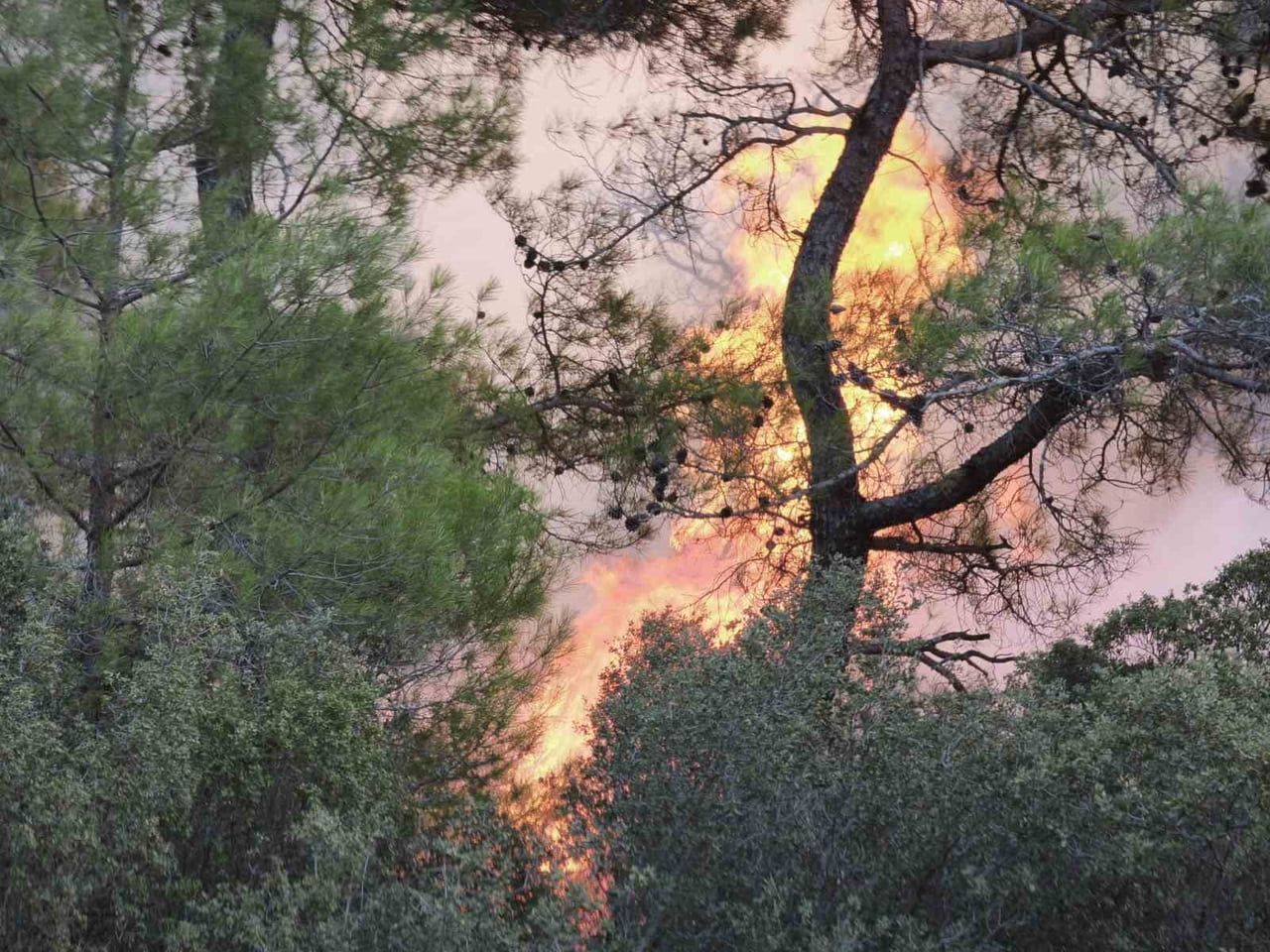 MUĞLA’DAKİ ORMAN YANGININA MÜDAHALE DEVAM EDİYOR