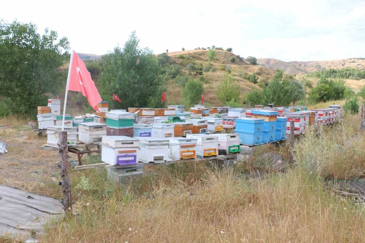ERZİNCAN’DA ARICILIK VE VATAN SEVGİSİ AYNI ARILIKTA BULUŞTU