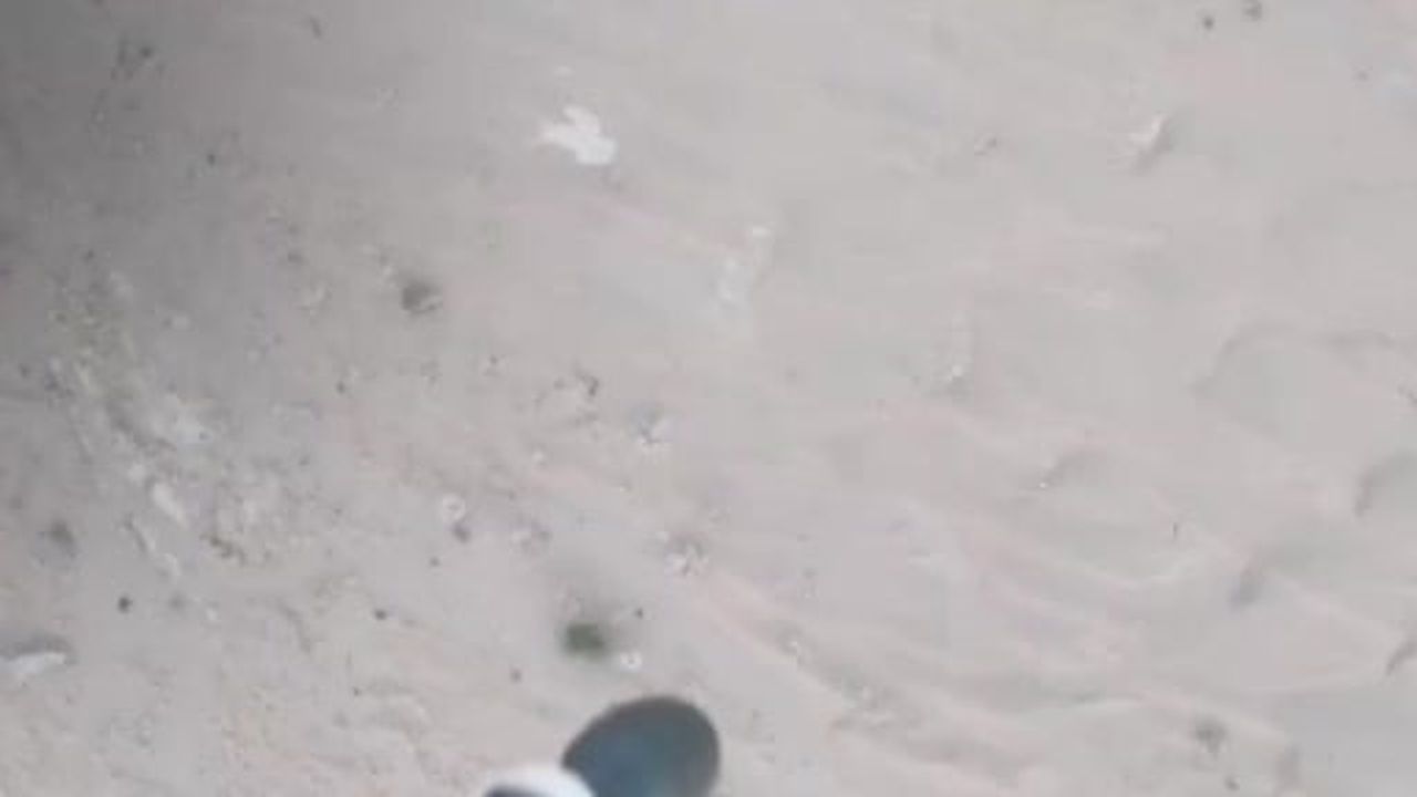 Yemen hükümetine bağlı Yemen ordusu, İran destekli Husilere yönelik düzenlediği saldırılara...