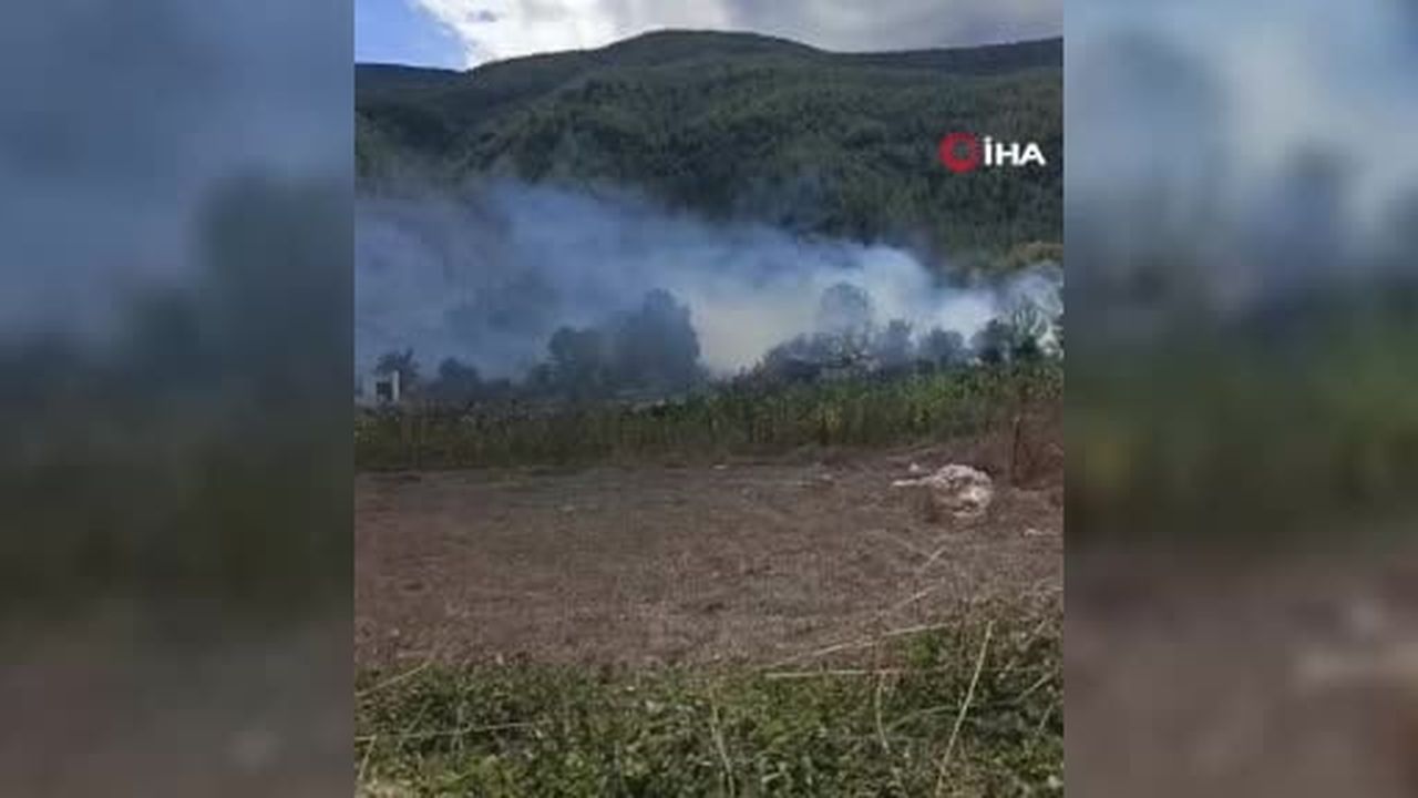 Korkutan ot yangını evlere sıçramadan söndürüldü