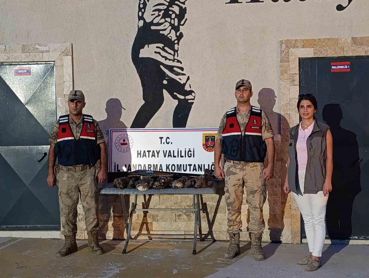 HATAY’DA 7 ARI ŞAHİNİ AVLAYAN ŞAHSA ÇEŞİTLİ MADDELERDEN 26 BİN TL İDARİ YAPTIRIM CEZASI...