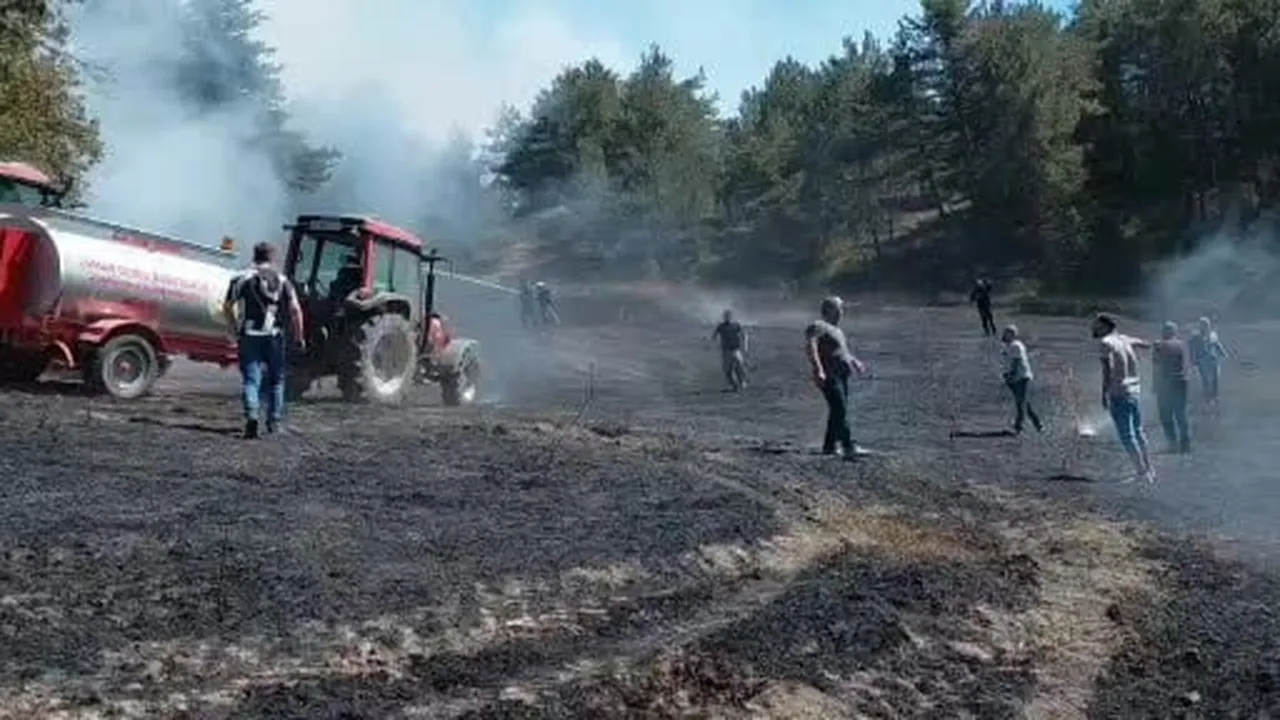 Bolu'da bahçede başlayan yangın ormanlık alana sıçradı