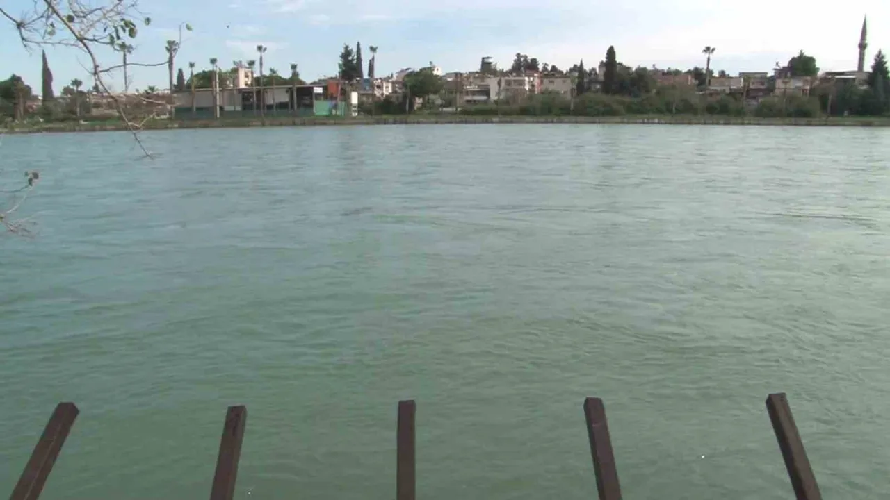 İKİ GÜNDÜR KAYIP OLARAK ARANAN ŞAHIS, YÜREĞİR İLÇESİ KUVAYİ MİLLİYE PARKI KIYISI SEYHAN NEHRİ’NDE...