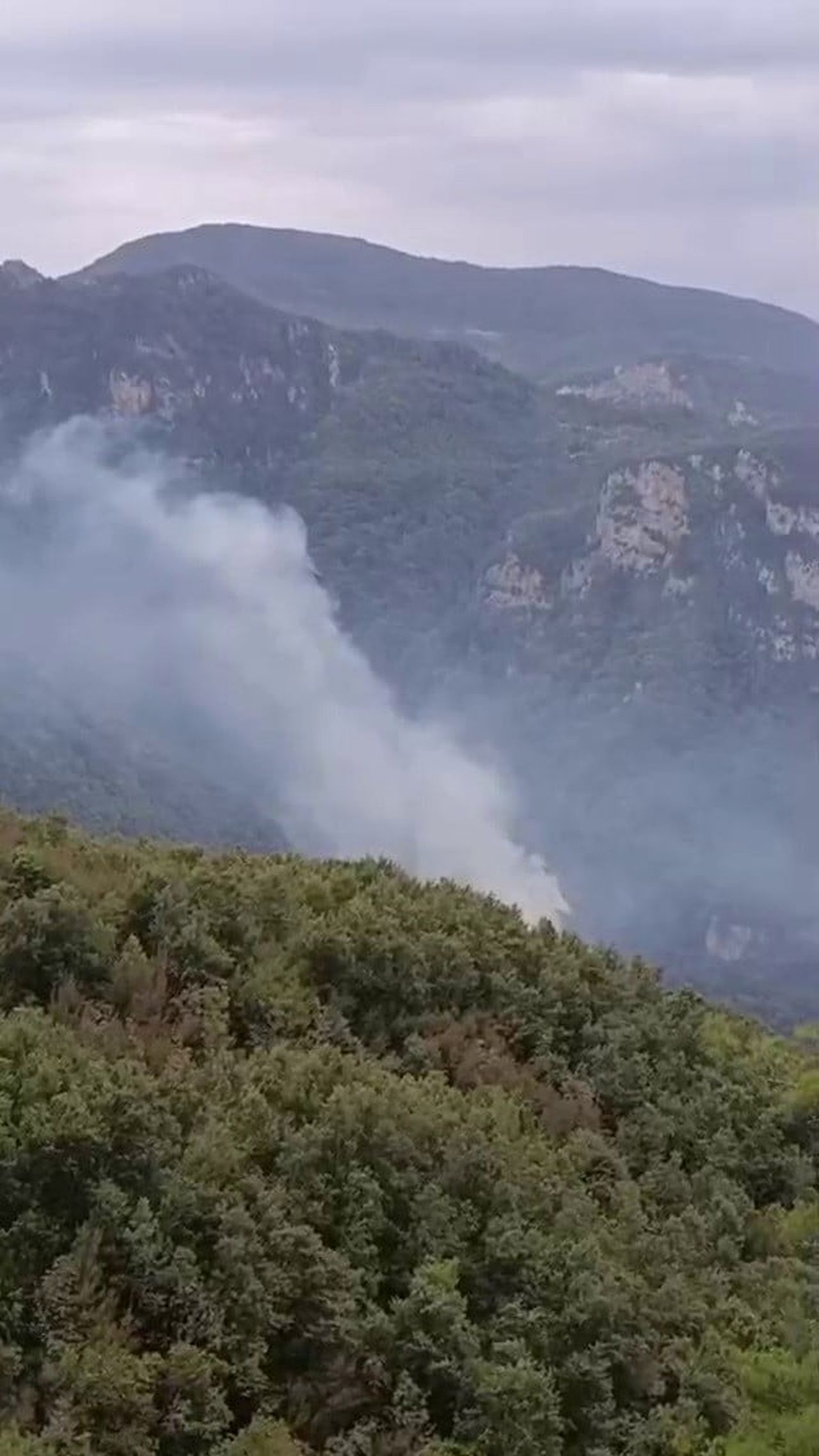 HATAY'DA GÜRLEVİK YAYLASI MEVKİİNDE ORMANLIK ALANDA ÇIKAN YANGINA EKİPLERİN MÜDAHALESİ...