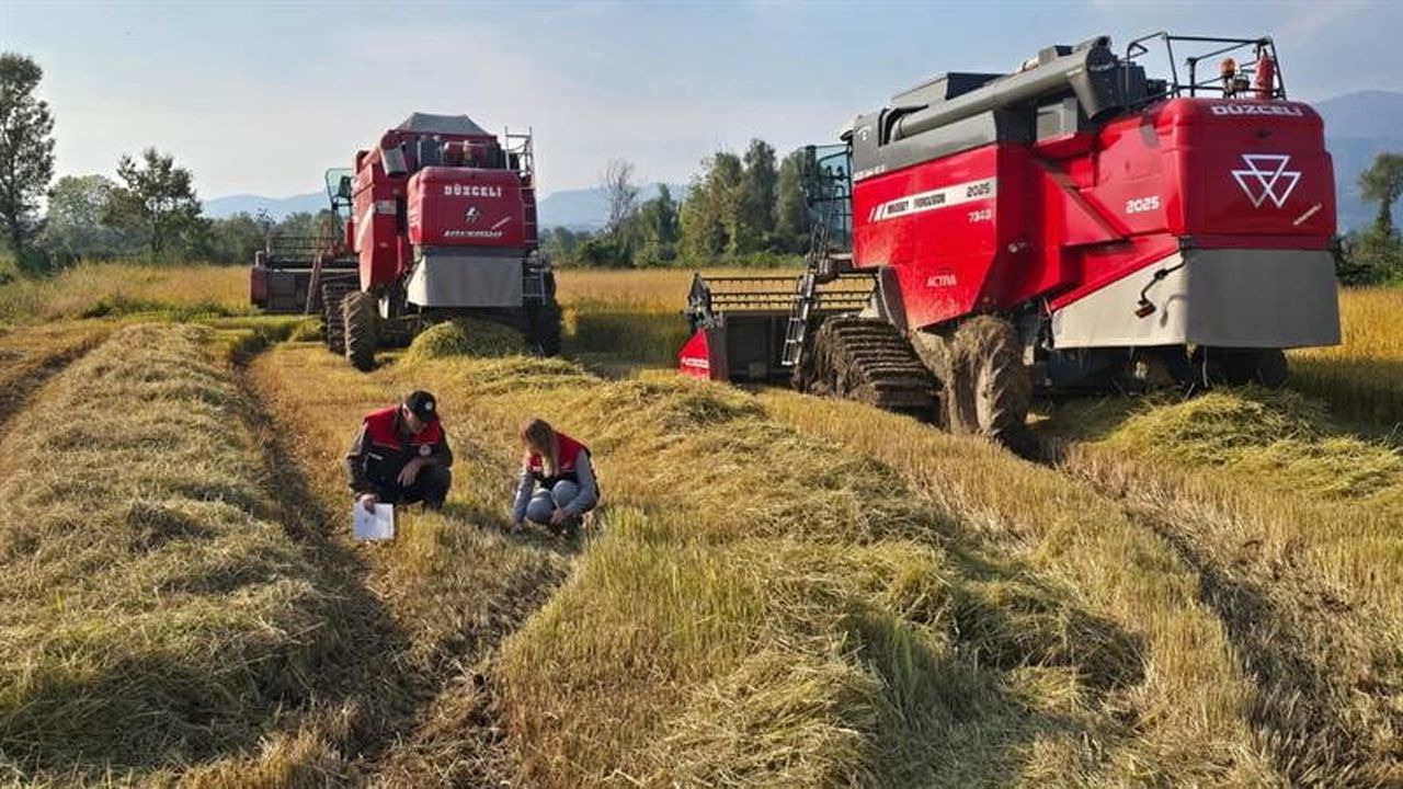 DÜZCE İL TARIM VE ORMAN MÜDÜRLÜĞÜ TARAFINDAN, 2026 YILI HASAT SEZONUNDA ÜRÜN KAYIPLARININ...