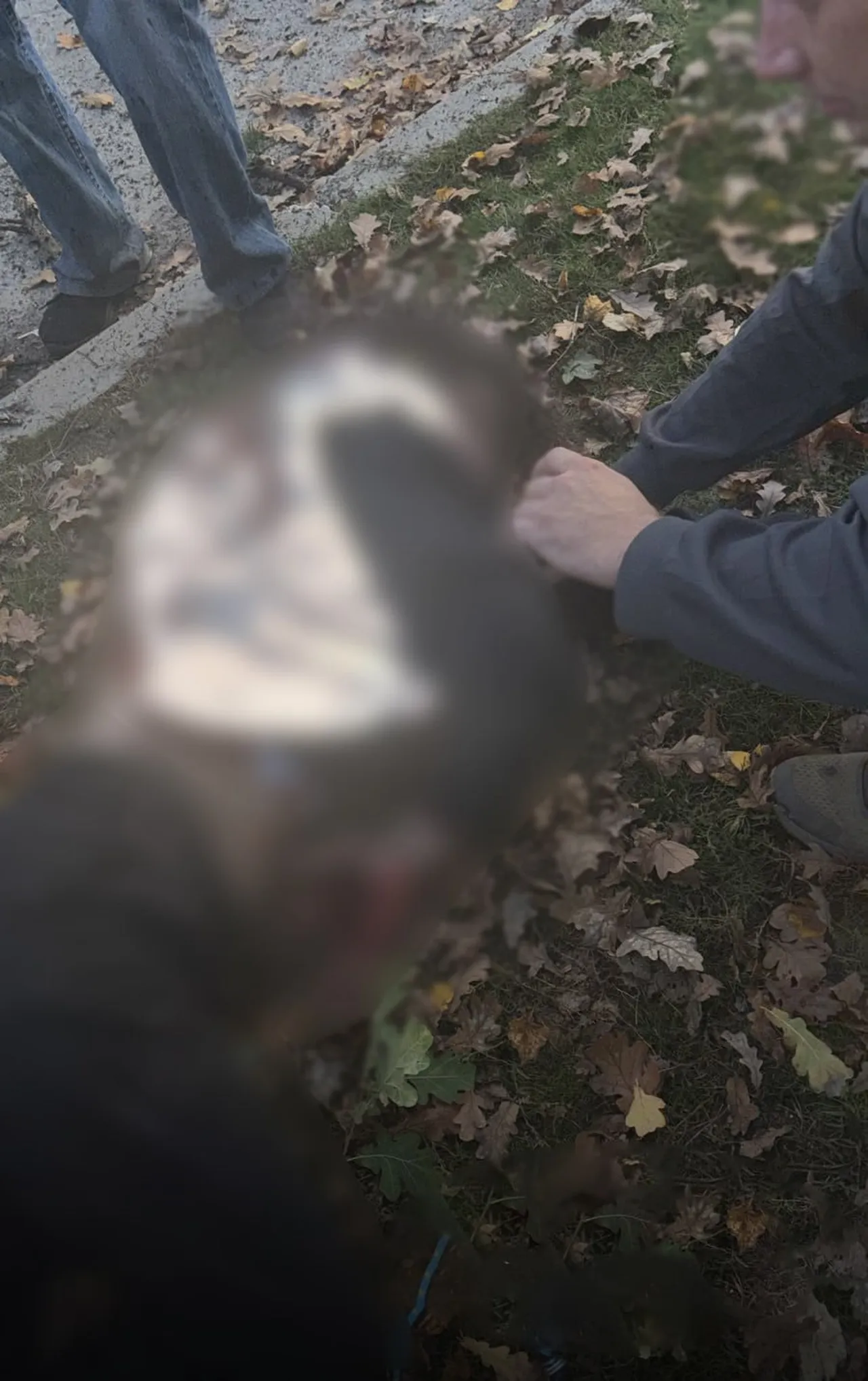 RUSYA’NIN UKRAYNA’DA BİR PARKA DÜZENLEDİĞİ İHA SALDIRISINDA 3’Ü ÇOCUK OLMAK ÜZERE 6 KİŞİ HAYATINI...