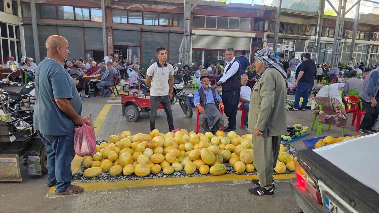 DİYARBAKIR’IN ÇERMİK İLÇESİNDE, "TEMUHANE KAVUNU" OLARAK BİLİNEN MEŞHUR İLÇENİN KAVUNU TEZGAHTA...