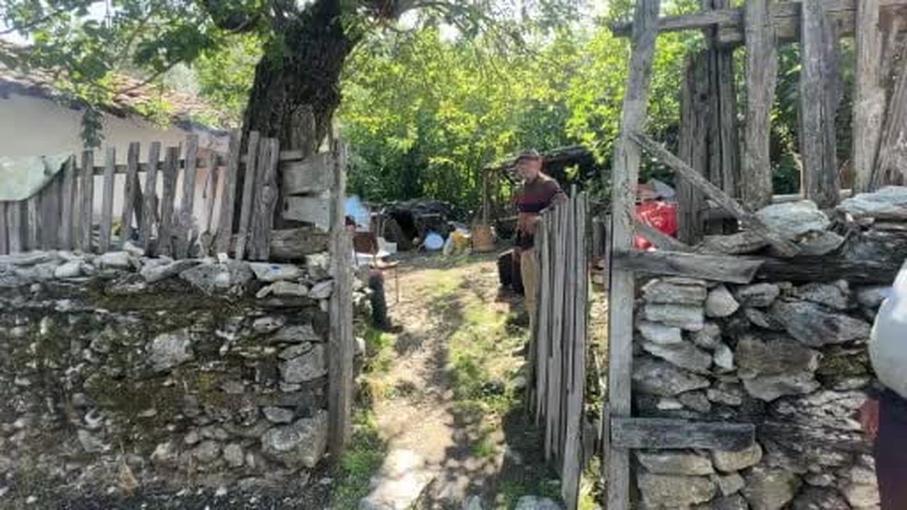 Sırrı meşe külünde saklı: Toroslar'da pekmez mesaisi sona erdi
