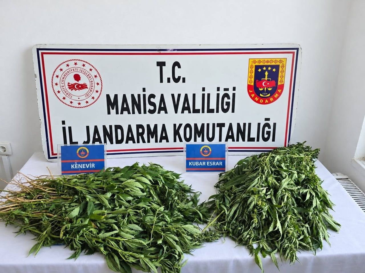 MANİSA’DA 4 İLÇEDE DÜZENLENEN UYUŞTURUCU OPERASYONLARINDA 156 KÖK KENEVİR, 10 BİN 865 ADET...