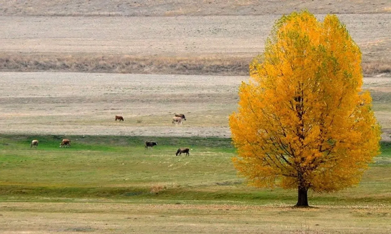 ERZURUM TARIM VE ORMAN İL MÜDÜRLÜĞÜ, BAKANLIK TARAFINDAN HAYATA GEÇİRİLEN "B-REÇETE DİJİTAL TAKİP...