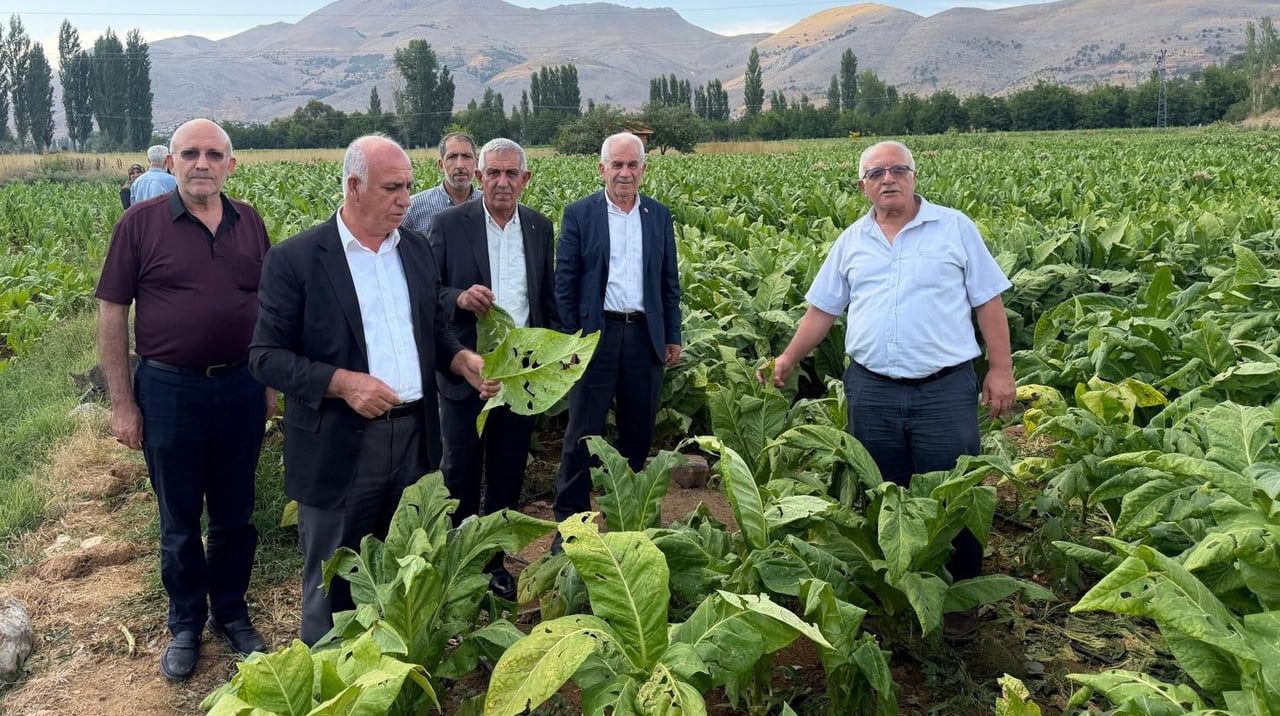 ADIYAMAN ZİRAAT ODASI BAŞKANI YAŞAR ÖZKAN, ÇELİKHAN’DA YAŞANILAN DOLU FELAKETİNDE TÜTÜN...