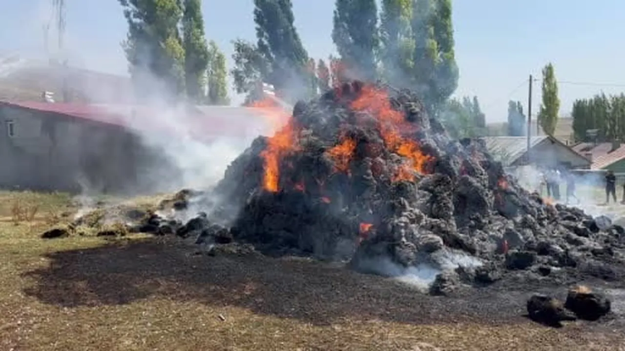 Kars’ta bir yıllık emek alev alev yandı: Bin balyalık ot kül oldu