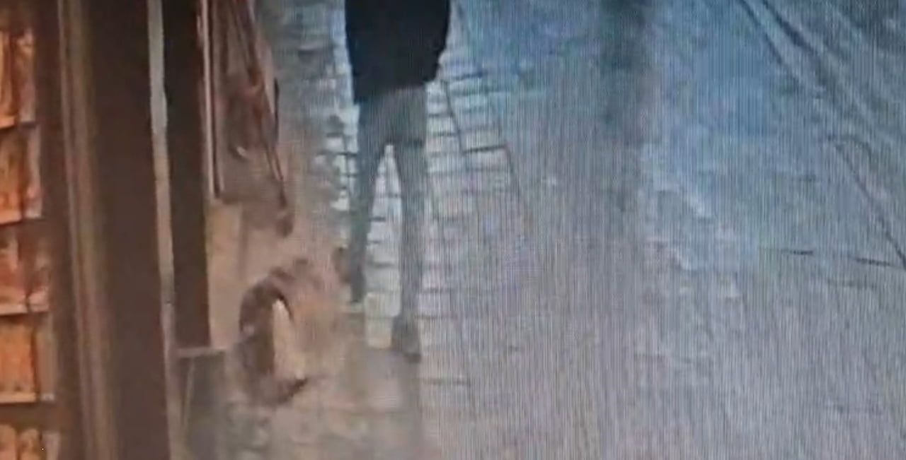 İSTANBUL AVCILAR’DA BİR DÜKKAN ÖNÜNDE KALDIRIMDA UYUYAN KÖPEK, KENDİSİNE TEKME ATAN ADAMI ISIRDI....