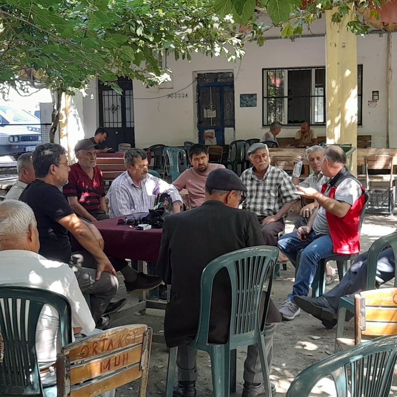 MUĞLA VE MİLAS’TA TARLA FARESİ MÜCADELESİ: ÇİFTÇİLERE ZEHİRLİ YEM DAĞITILDI
