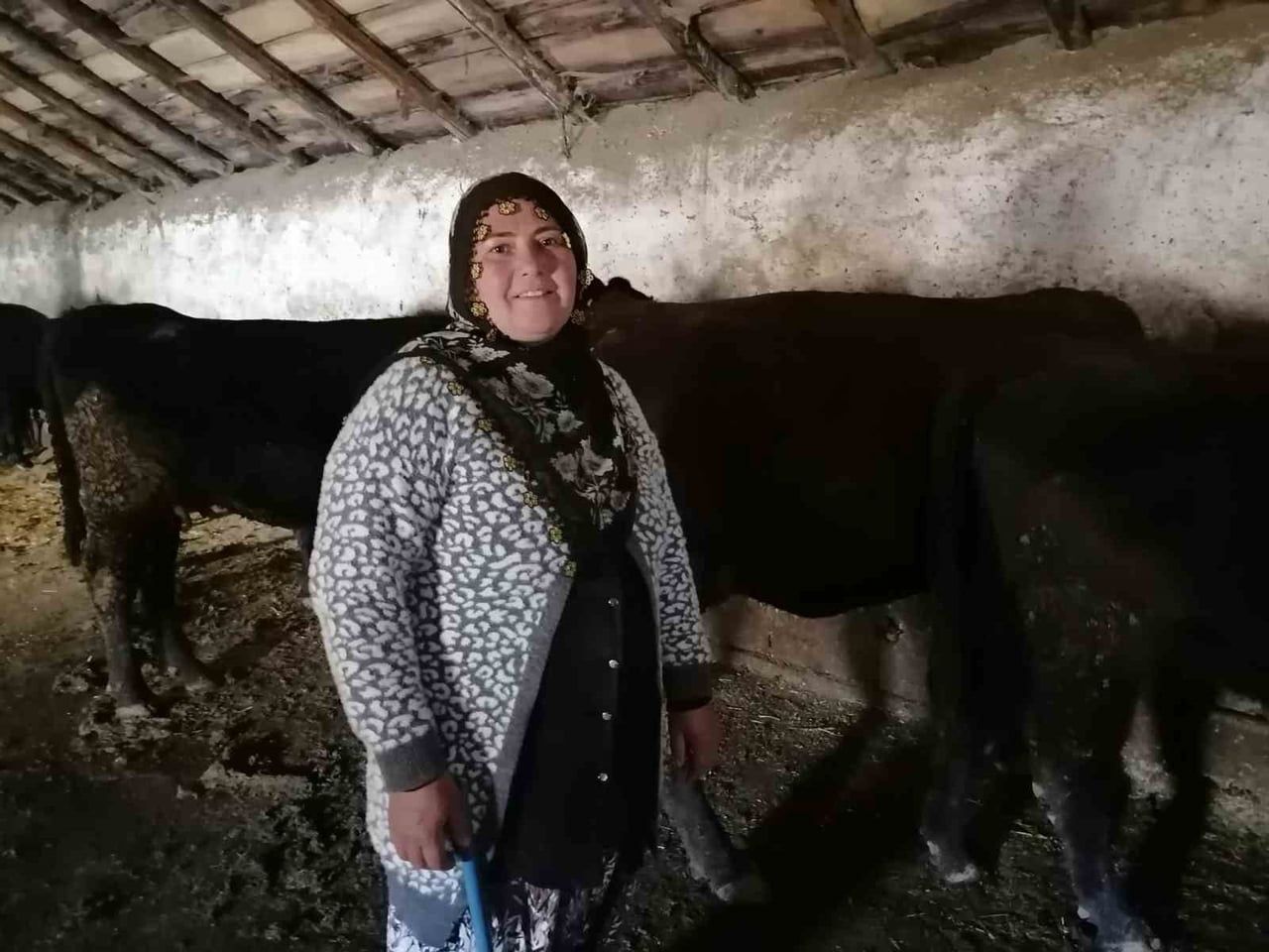 ÜRETİCİ GÜLLİ KARABEY