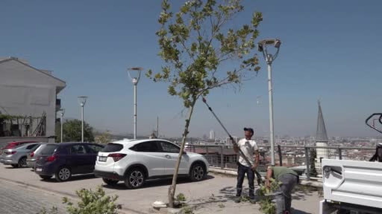 Yıllardır beklenen temizlik başladı