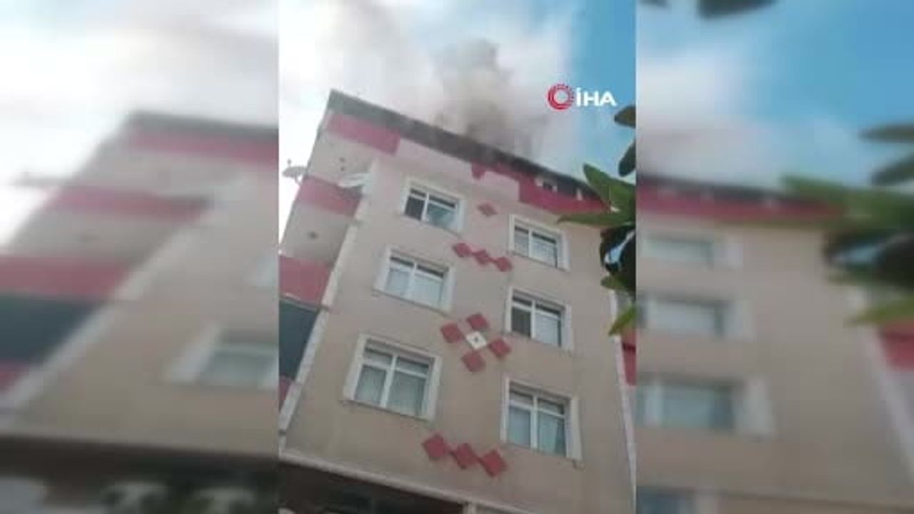 Avcılar’da çıkan çatı yangınında mahsur kalan kediler terastan aşağı atladı