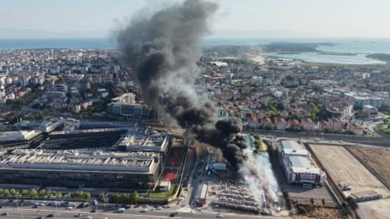 Tuzla'da otluk alanda çıkan yangın teknelere sıçradı