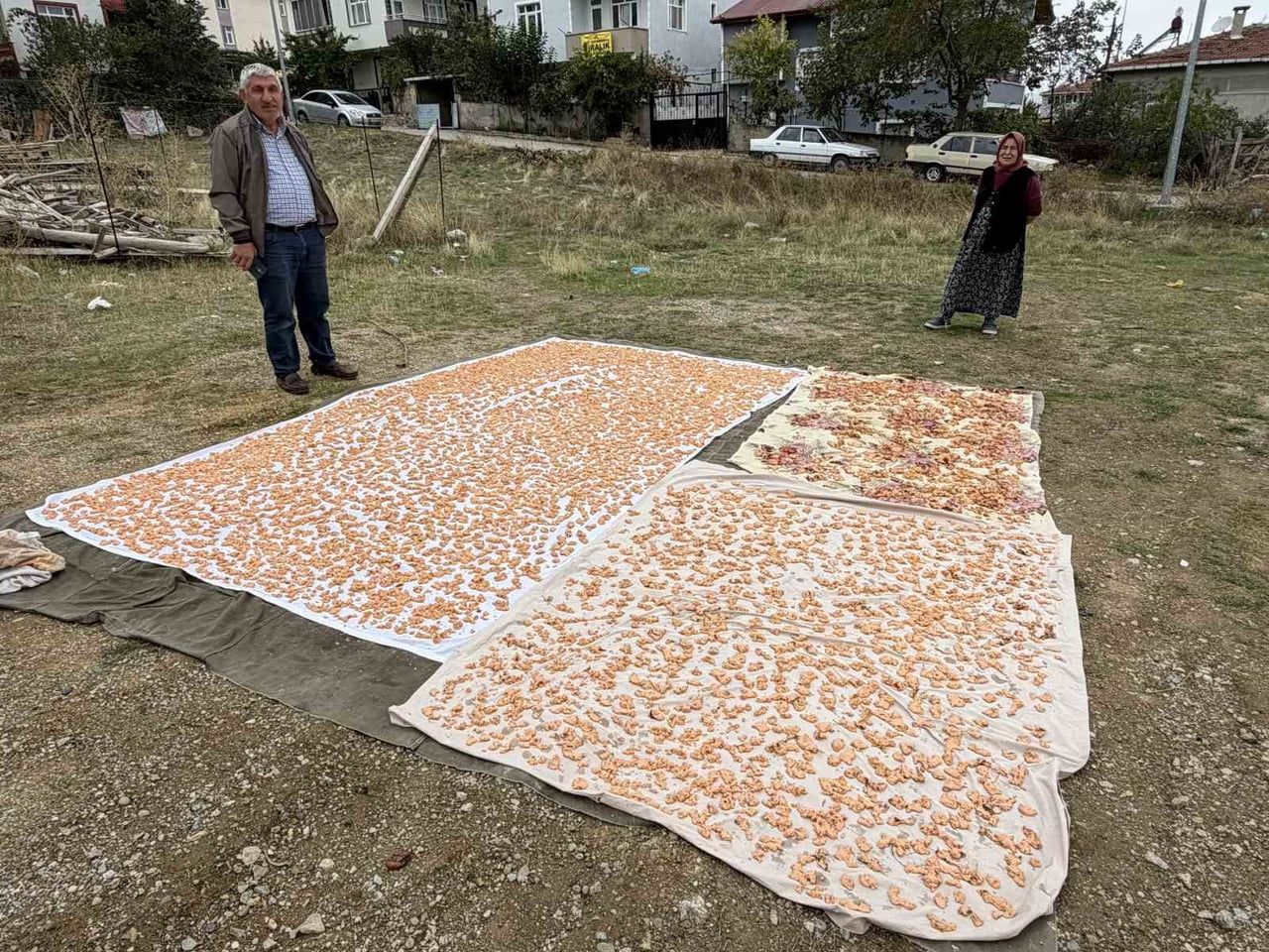 BOYABAT İLÇESİNDE KIŞ AYLARININ YAKLAŞMASIYLA BİRLİKTE GELENEKSEL TARHANA HAZIRLIKLARI...