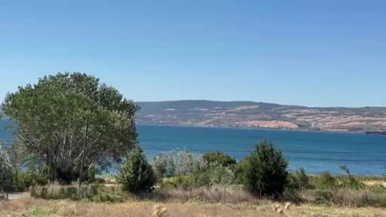 Lapseki'de tarım arazisindeki yangına müdahale devam ediyor