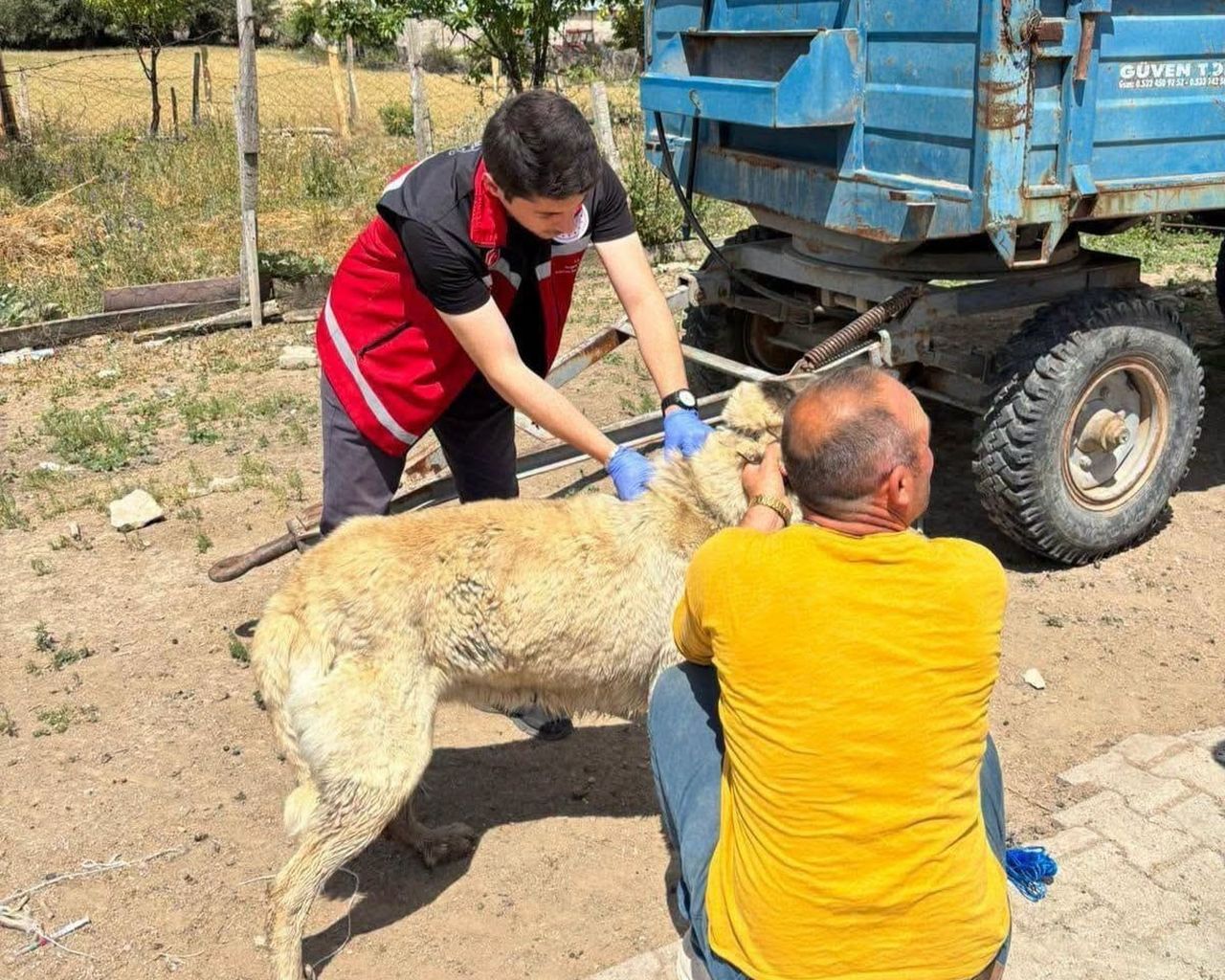 YOZGAT VALİLİĞİ, YÜKÜMLÜLÜKLERİNİ YERİNE GETİRMEYEN HAYVAN SAHİPLERİNE UYGULANACAK CEZALAR...