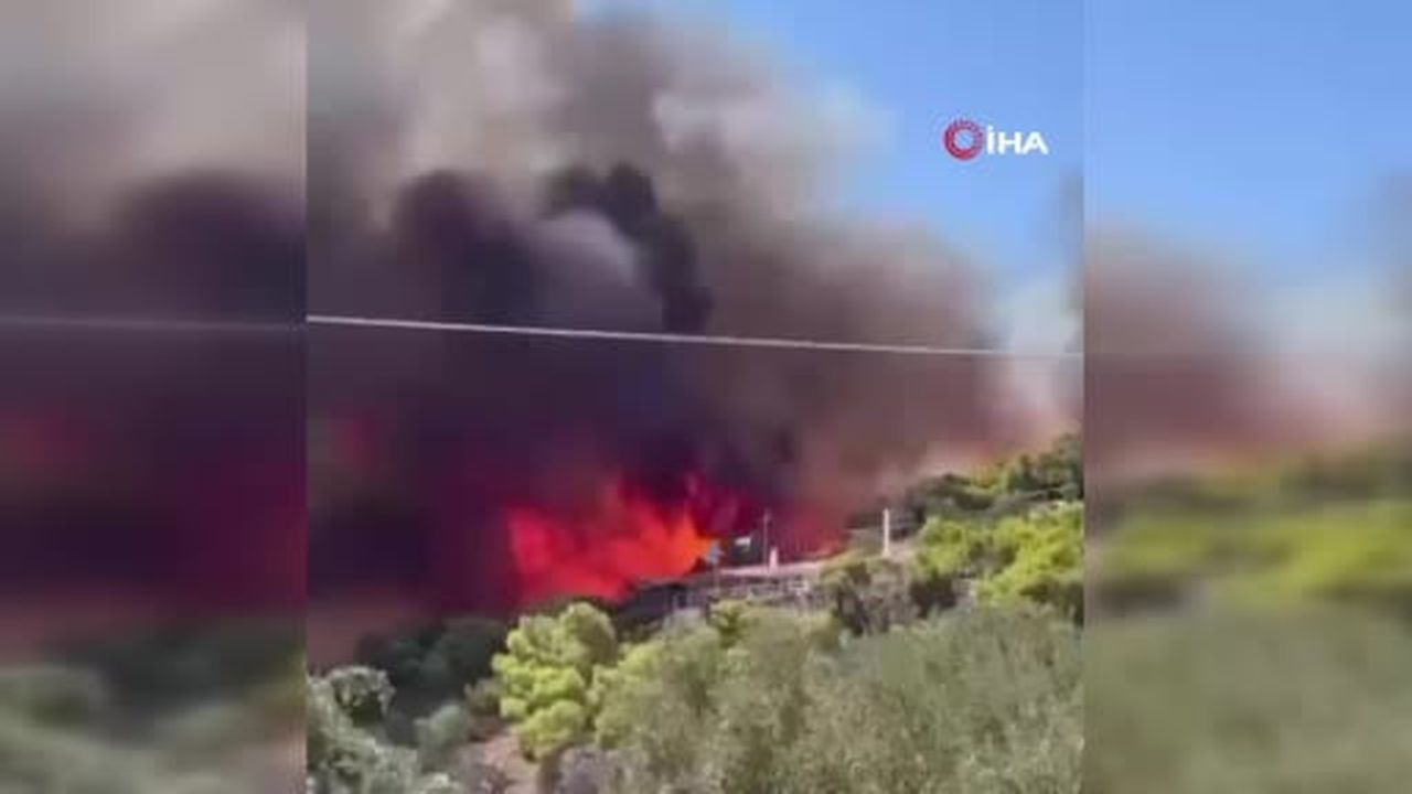 Yunanistan’ın başkenti Atina yakınlarındaki Salamina Adası’nda çıkan orman yangınında yaşlı bir...
