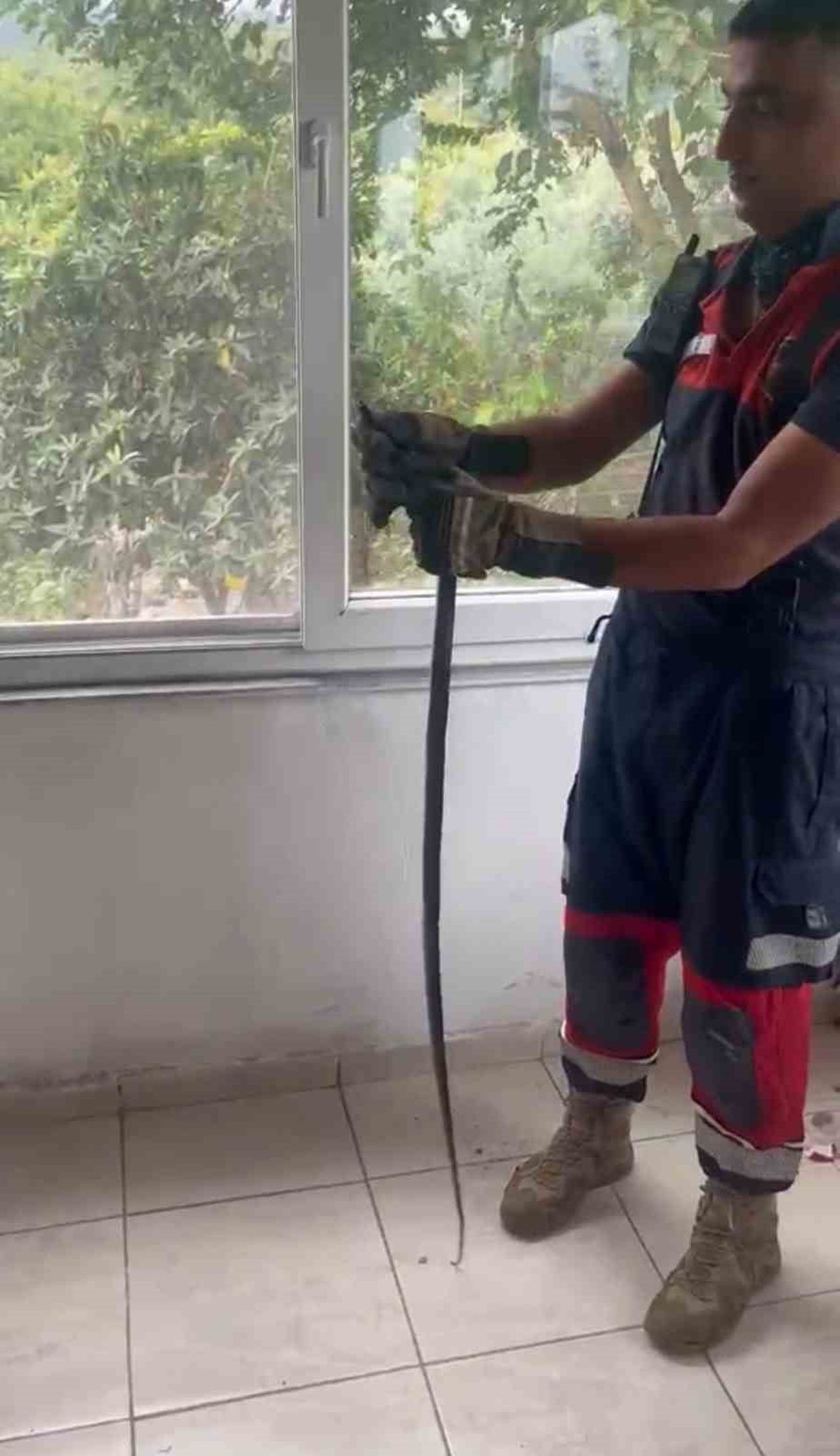 DÖRTYOL’DA BİR EVİN PENCERE ARASINA SIKIŞAN YILAN, EKİPLERİN ÇALIŞMASIYLA ZARAR VERİLMEDEN...