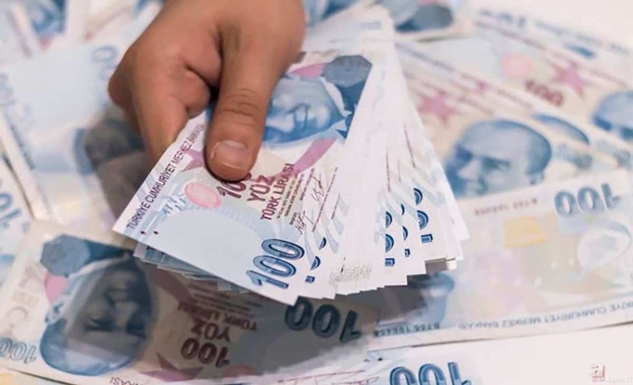 Devlet bankaları hangileri