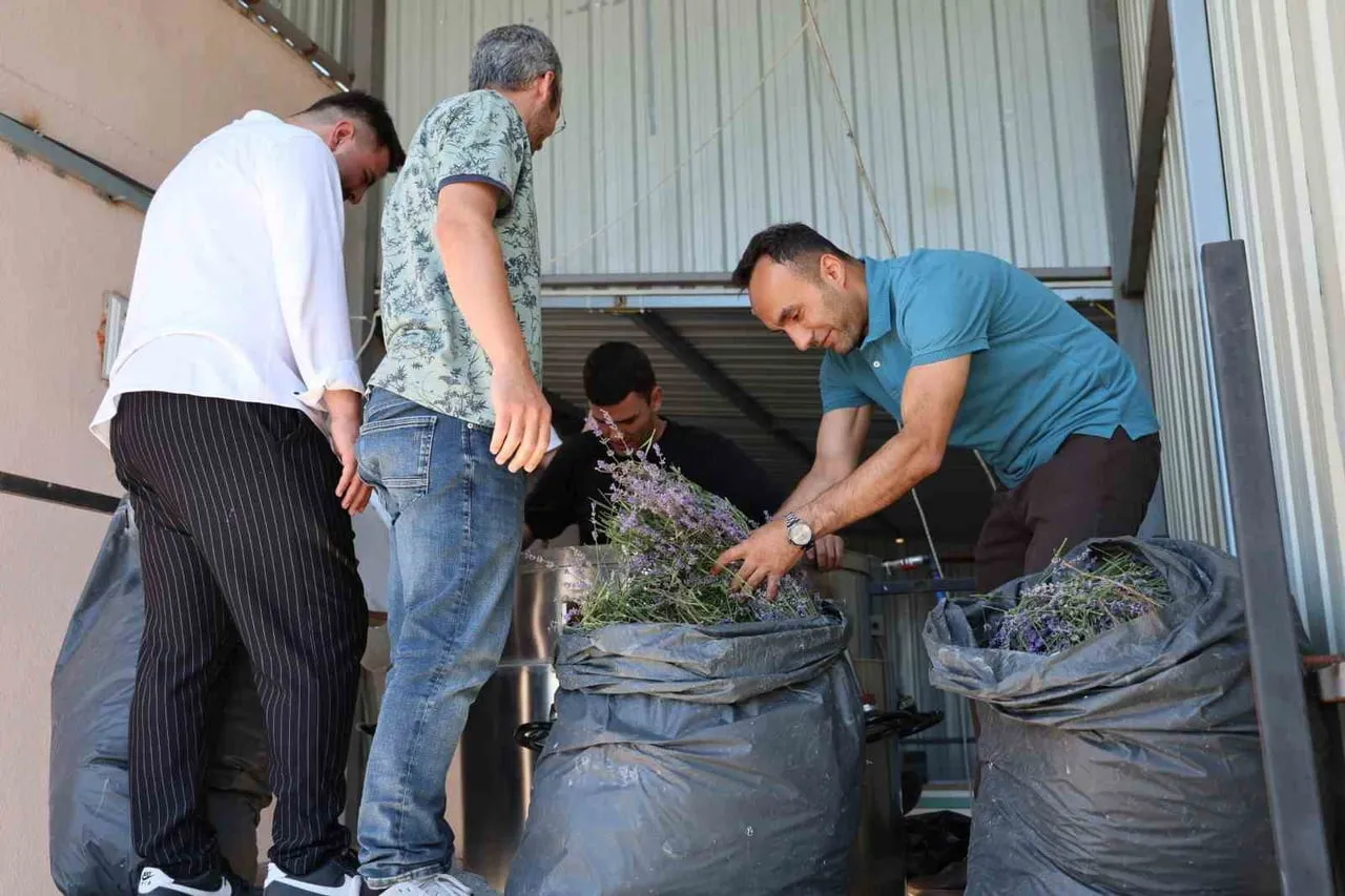 DÜZCE ÜNİVERSİTESİ ÇEVRE VE SAĞLIK TEKNOLOJİLERİNDE İHTİSASLAŞMA KOORDİNATÖRLÜĞÜ, BÖLGESEL...