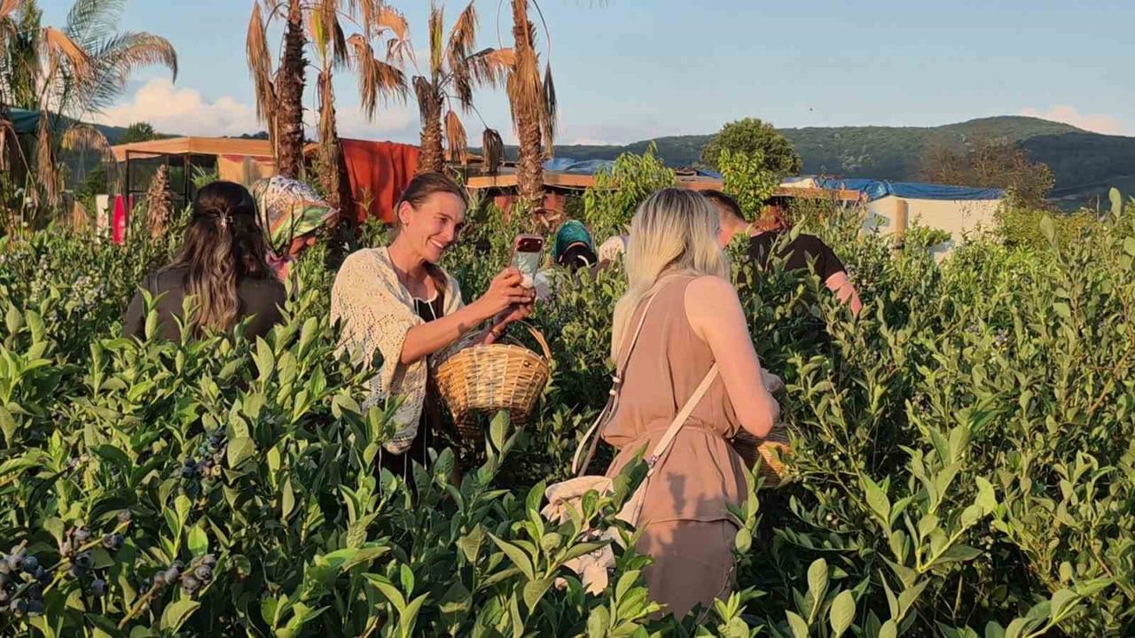 DÜZCE'DE ÜNİVERSİTE ÖĞRENCİSİNİN FINDIĞA ALTERNATİF ÜRÜN ARAYIŞIYLA KURDUĞU YABAN MERSİNİ BAHÇESİ...