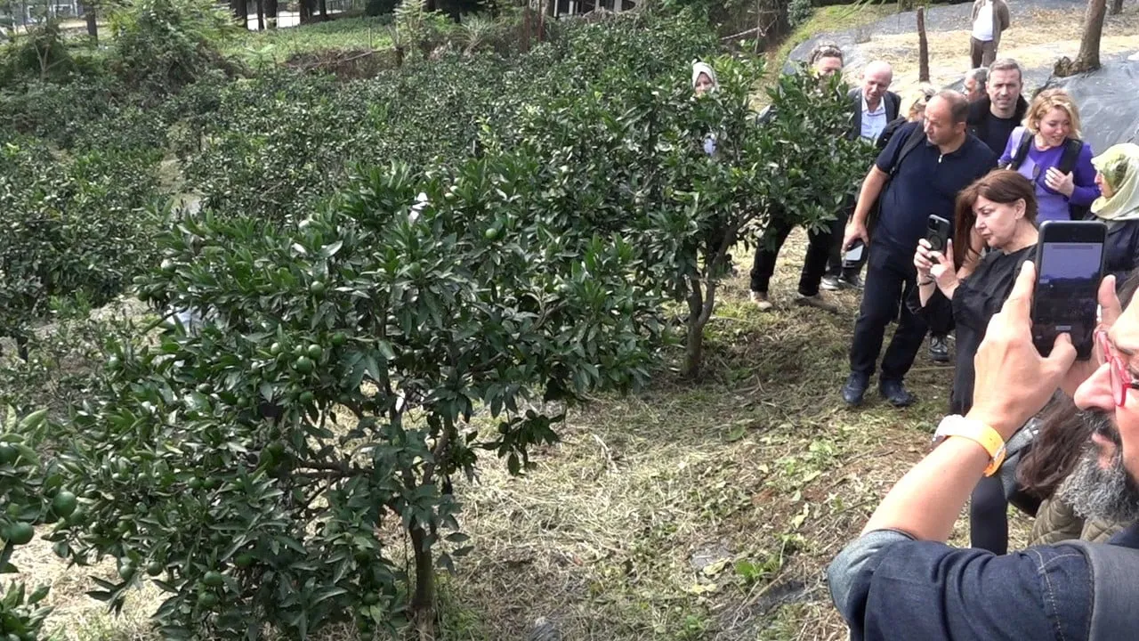RİZE'NİN YENİ GASTRONOMİ VİZYONU; TESCİLLİ BAL VE SATSUMA MANDALİNASI GİBİ YEREL ZENGİNLİKLERİ...