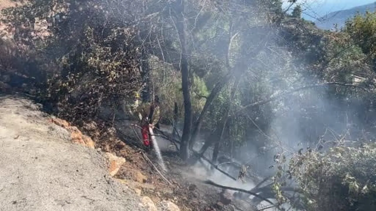 Alanya’da çalılık alanda çıkan yangın söndürüldü