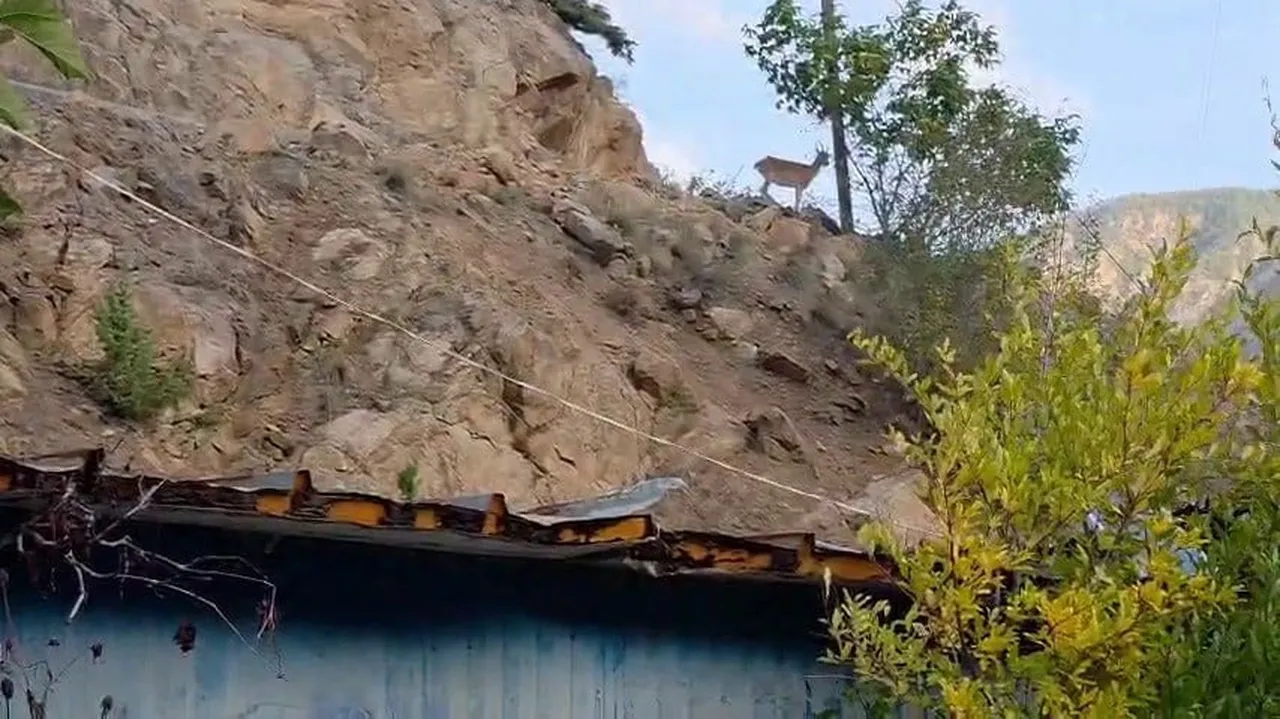 ERZURUM’UN İSPİR İLÇESİNDE YAŞAYAN MELEK ERDOĞAN, SARP KAYALIKLARIN ÜRKEK CANLILARI OLAN DAĞ...