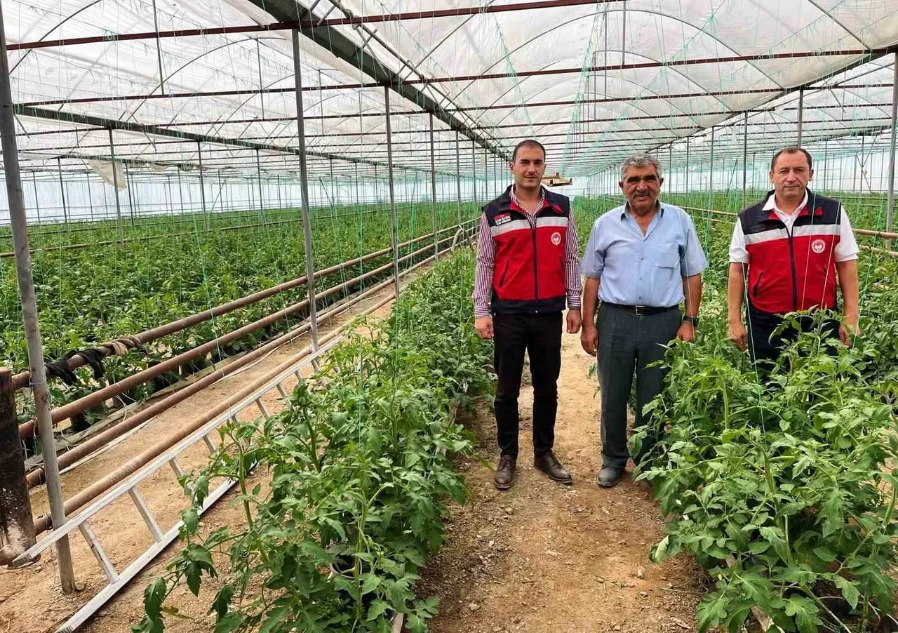 SİMAV’DA SERACILIK FAALİYETLERİ YERİNDE İNCELENDİ