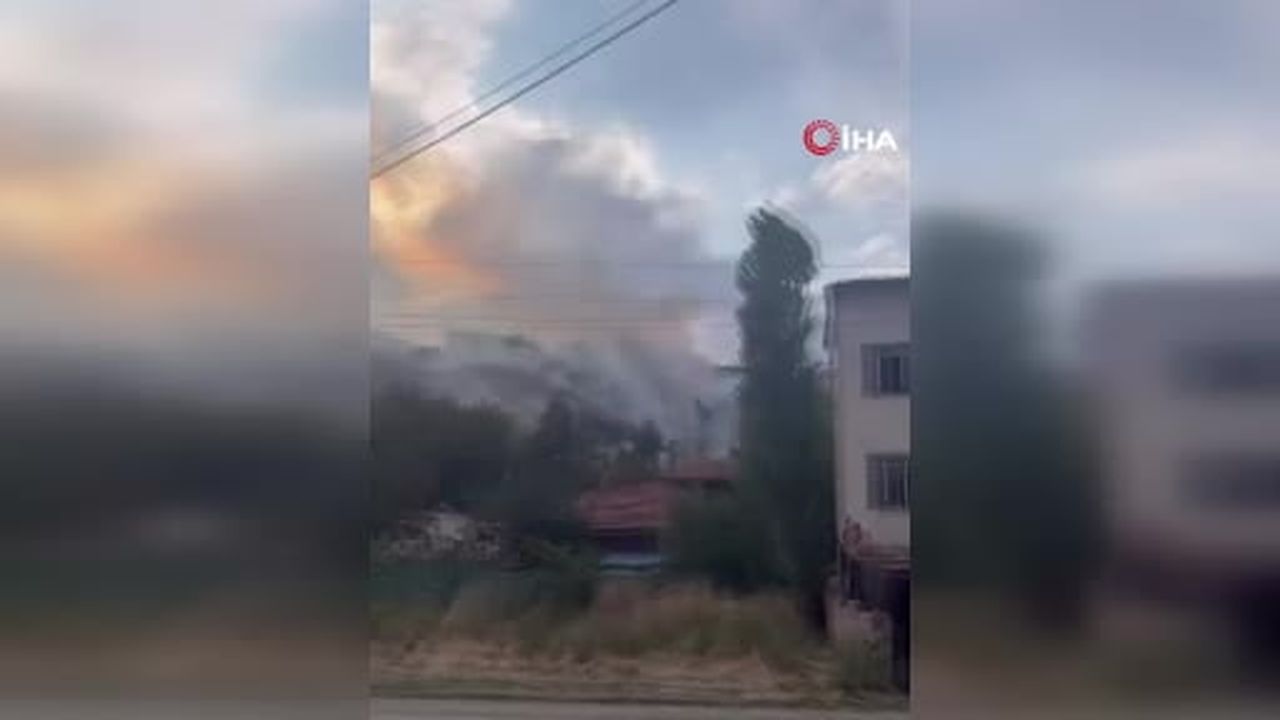 Keçiören'de ağaçlık alan yangını