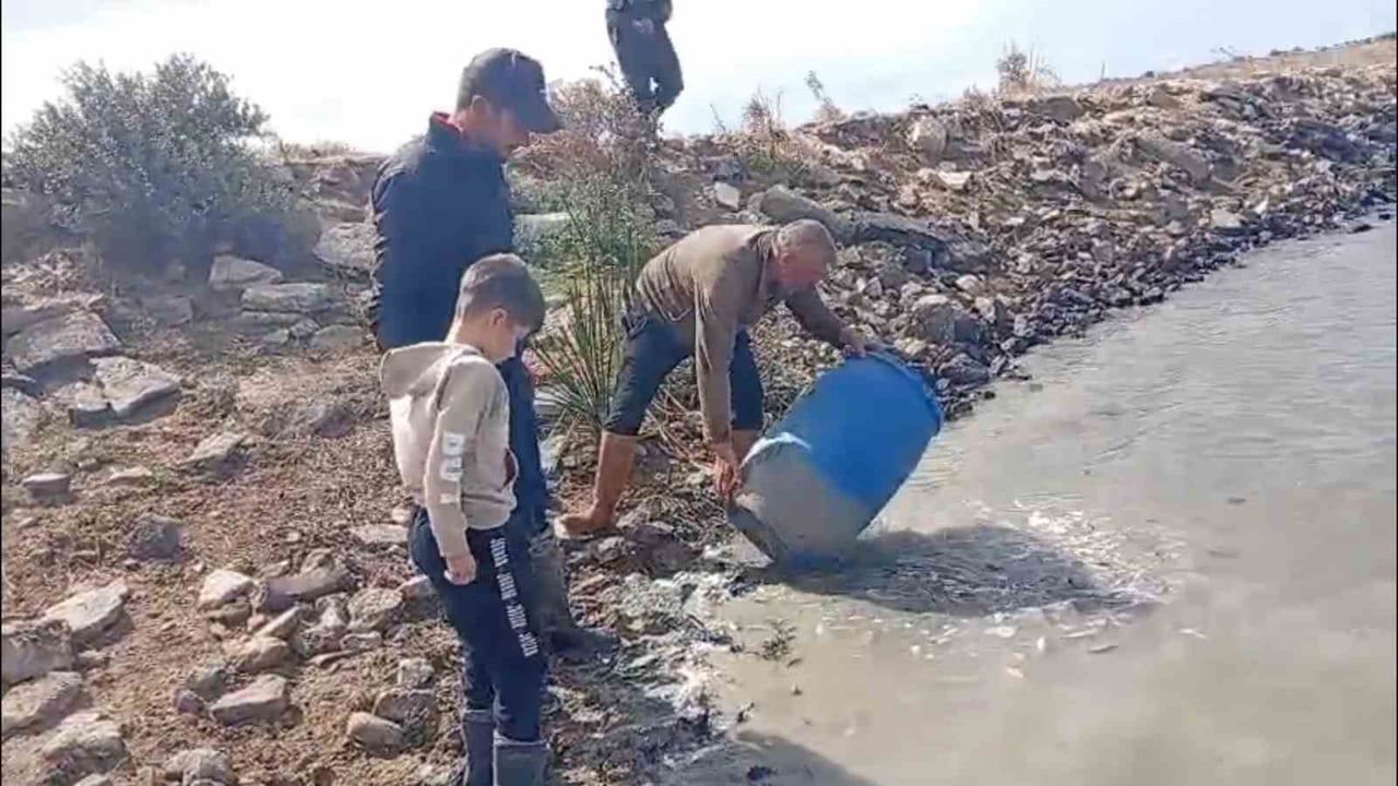 EDİRNE'NİN MERİÇ İLÇESİNE BAĞLI KÜPLÜ BELDESİNDE, SULAMA KANALLARINDA MAHSUR KALAN BALIKLAR...