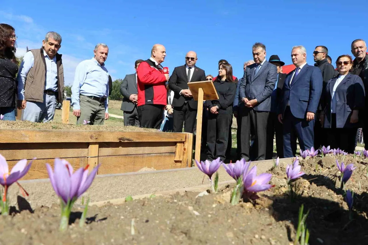 KARABÜK TARIM VE ORMAN İL MÜDÜRLÜĞÜ TARAFINDAN GELİŞTİRİLEN "KONTROLLÜ KOŞULLARDA BİLİMLE YEŞEREN...
