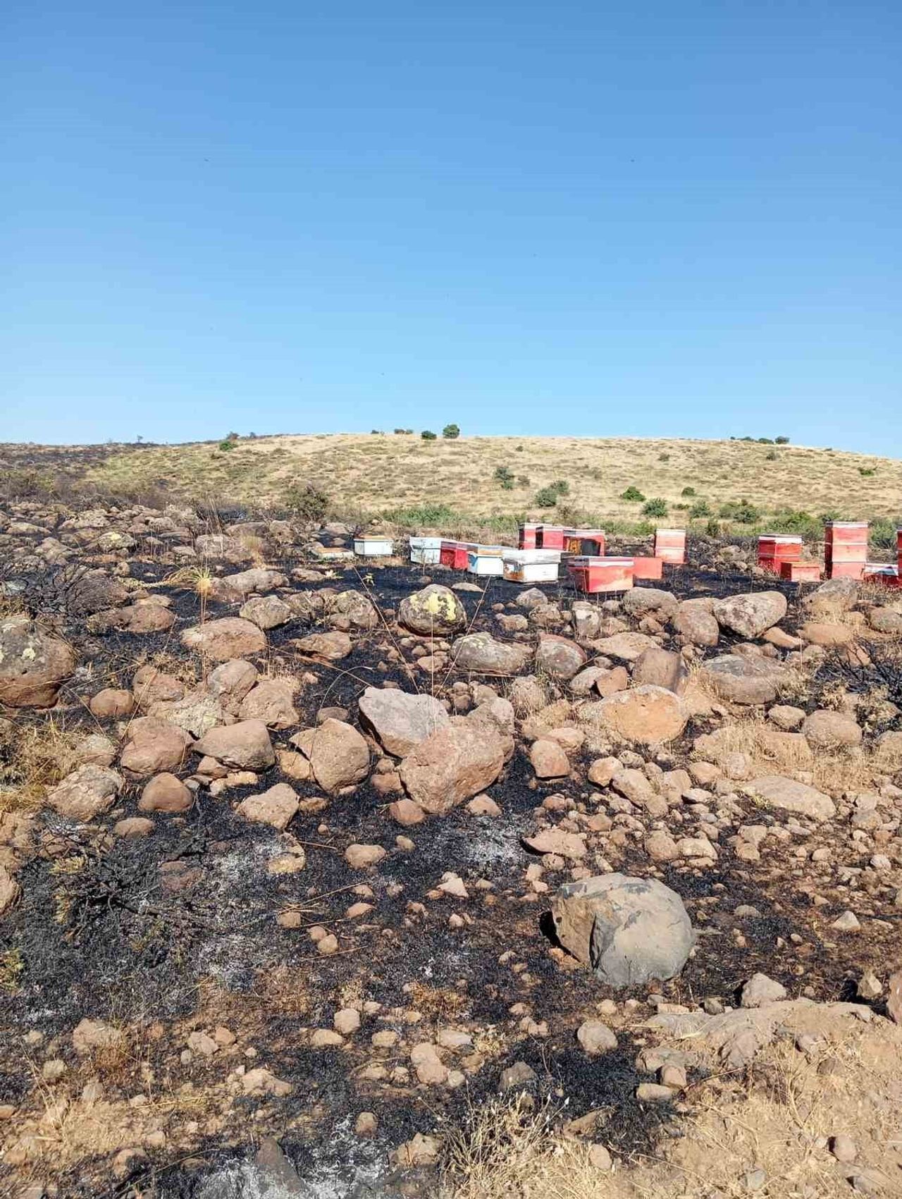 ELAZIĞ'DA ÇIKAN ARAZİ YANGININDA ARI KOVANLARI ZARAR GÖRDÜ.