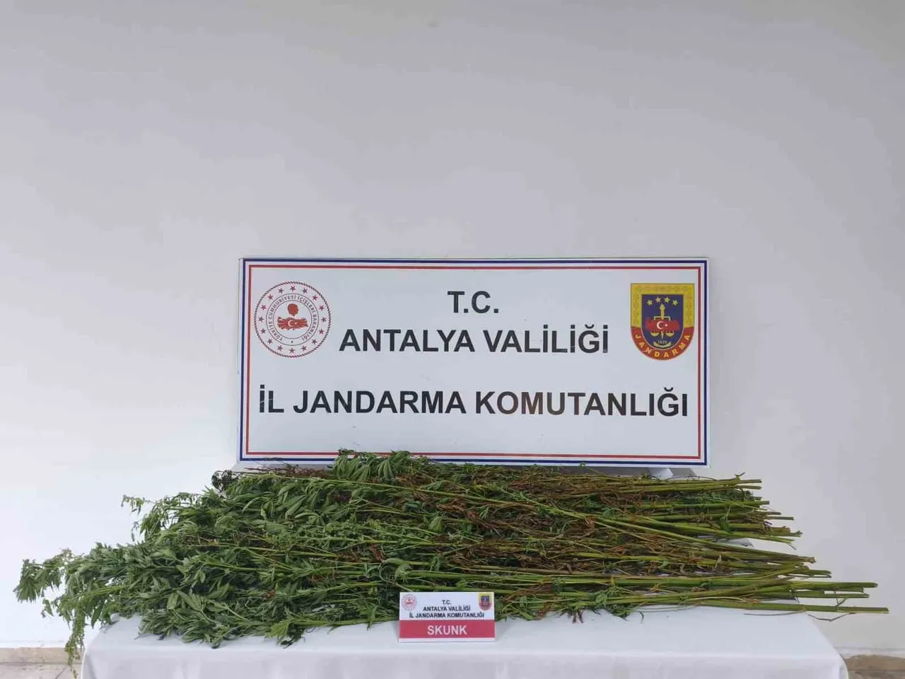 ANTALYA'NIN SERİK İLÇESİNDE JANDARMA EKİPLERİNCE DÜZENLENEN UYUŞTURUCUYLA MÜCADELE OPERASYONUNDA...