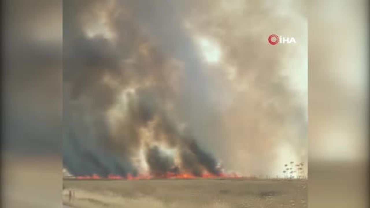 Mardin’de çıkan anız yangını sonrası tır bariyerlere çarptı