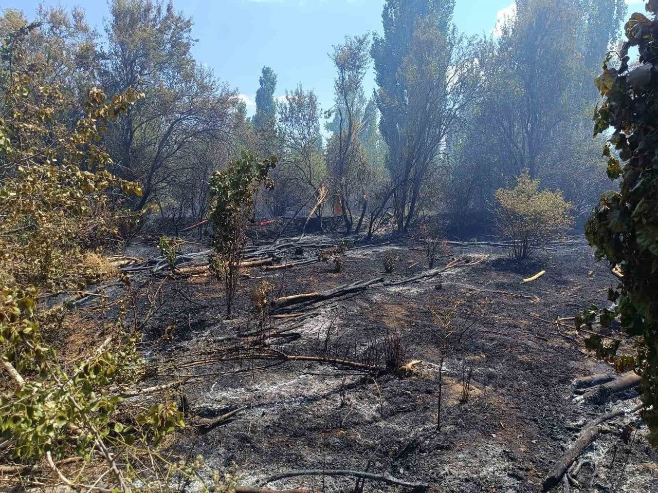 AFYONKARAHİSAR'IN SANDIKLI İLÇESİNDE ÇIKAN OT YANGINI, YERLEŞİM YERLERİNE YAKIN OLMASI NEDENİYLE...