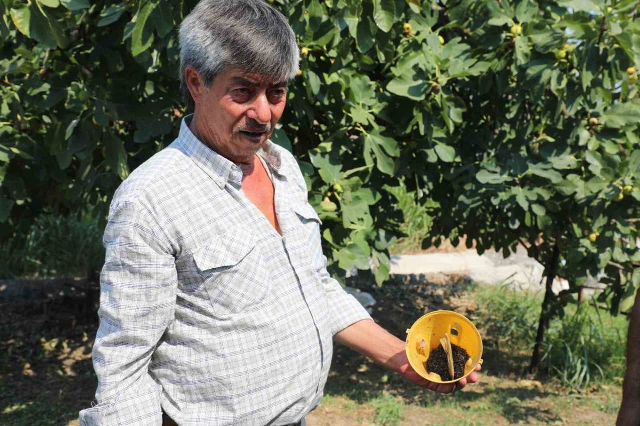 MUĞLA’DA ÜRETİCİNİN EMEĞİNE ÇEVRE DOSTU KORUMA