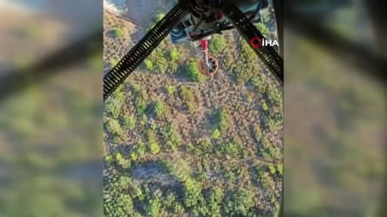 Kaş'da çıkan orman yangınına havadan ve karadan müdahale ediliyor
