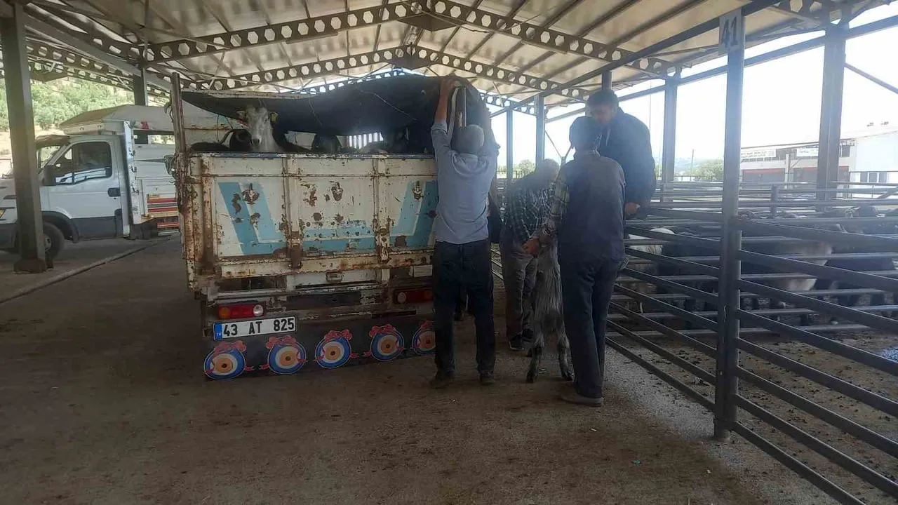 GEDİZ BELEDİYESİ HAYVAN PAZARI PAZARTESİ GÜNLERİ KURULACAK