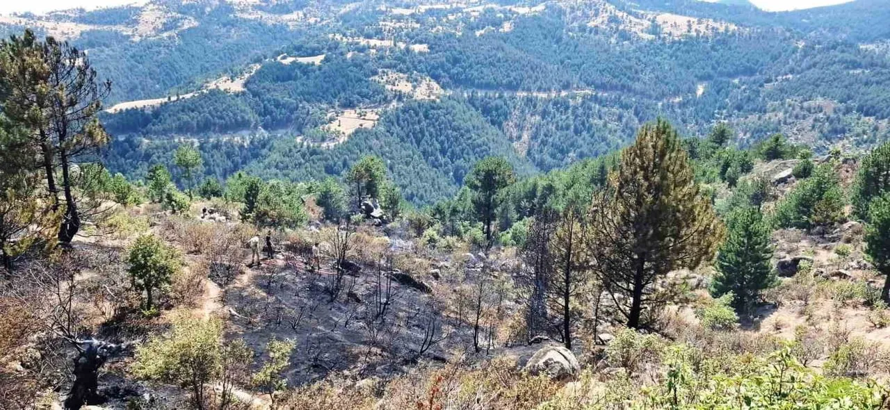 KÜTAHYA’NIN EMET İLÇESİNE BAĞLI SAMRIK KÖYÜNDE ÇIKAN ORMAN YANGINI, EKİPLERİN HIZLI MÜDAHALESİYLE...