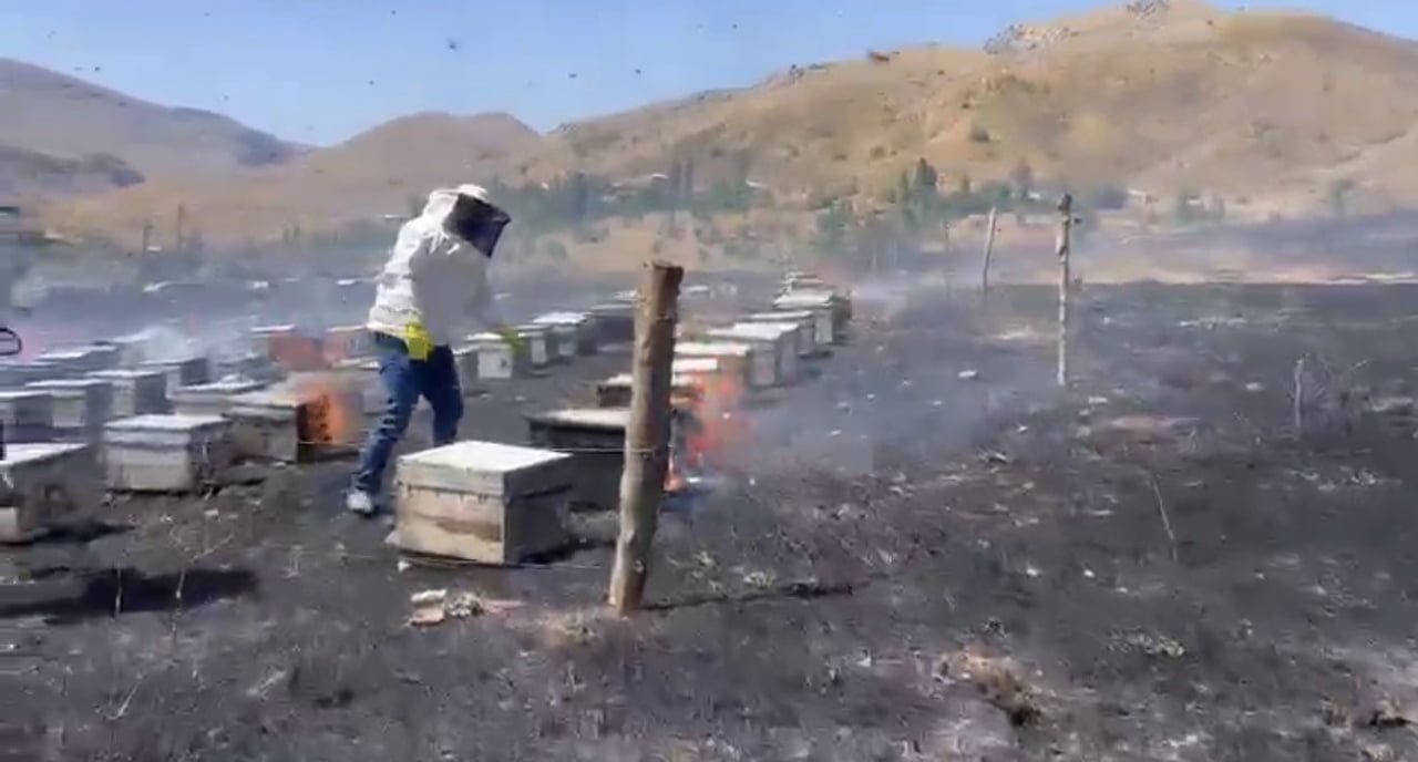 ADIYAMAN’IN GERGER İLÇESİNDE OTLUK ALANDA ÇIKAN YANGIN, ARI KOVANLARININ BULUNDUĞU BÖLGEYE...