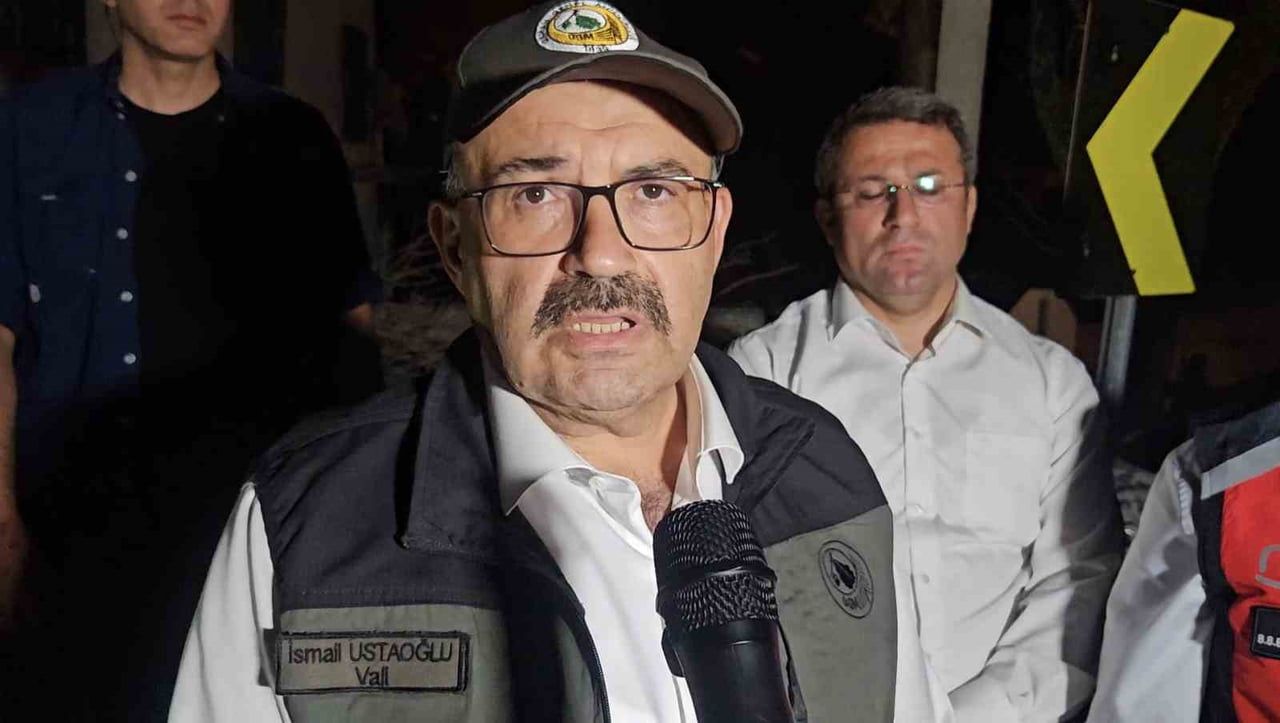 BALIKESİR VALİSİ İSMAİL USTAOĞLU, YANGINDAN ETKİLENEN TIFILLAR KİRDAL MAHALLESİNDE İNCELEMEDE...